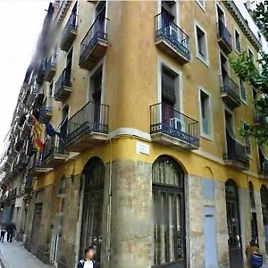 https://hostal-nou-raval.topbarcelonahotels.com